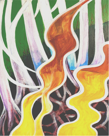 Yellow Bands Tall Trees #816