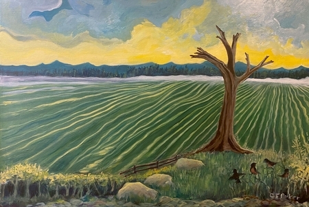 Field W Yellow Sky #817