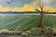 Field W Yellow Sky #817