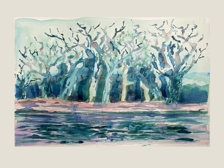 Turquoise Trees #840